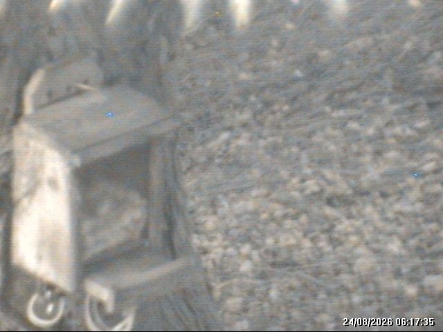 A still image captured by the Motion Detector