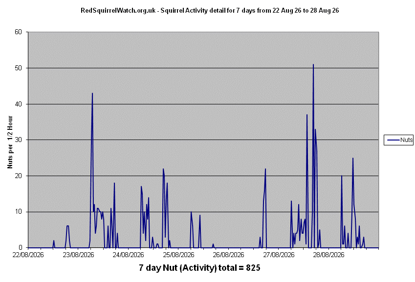 Click to view Activity Detail chart full-size