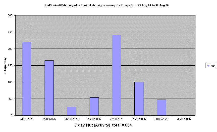 Click to view Activity Summary chart full-size