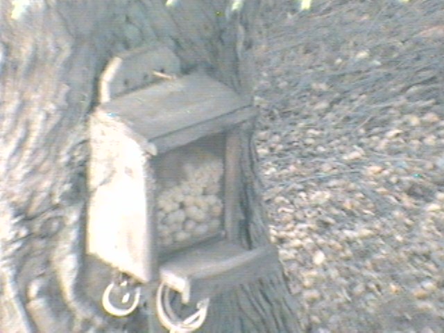 Recent Webcam Image
